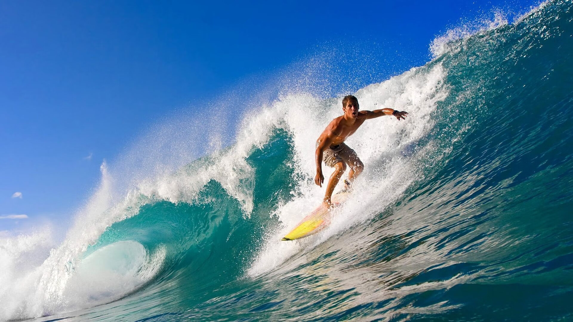 2026体育明星巅峰表现，今年的体育明星