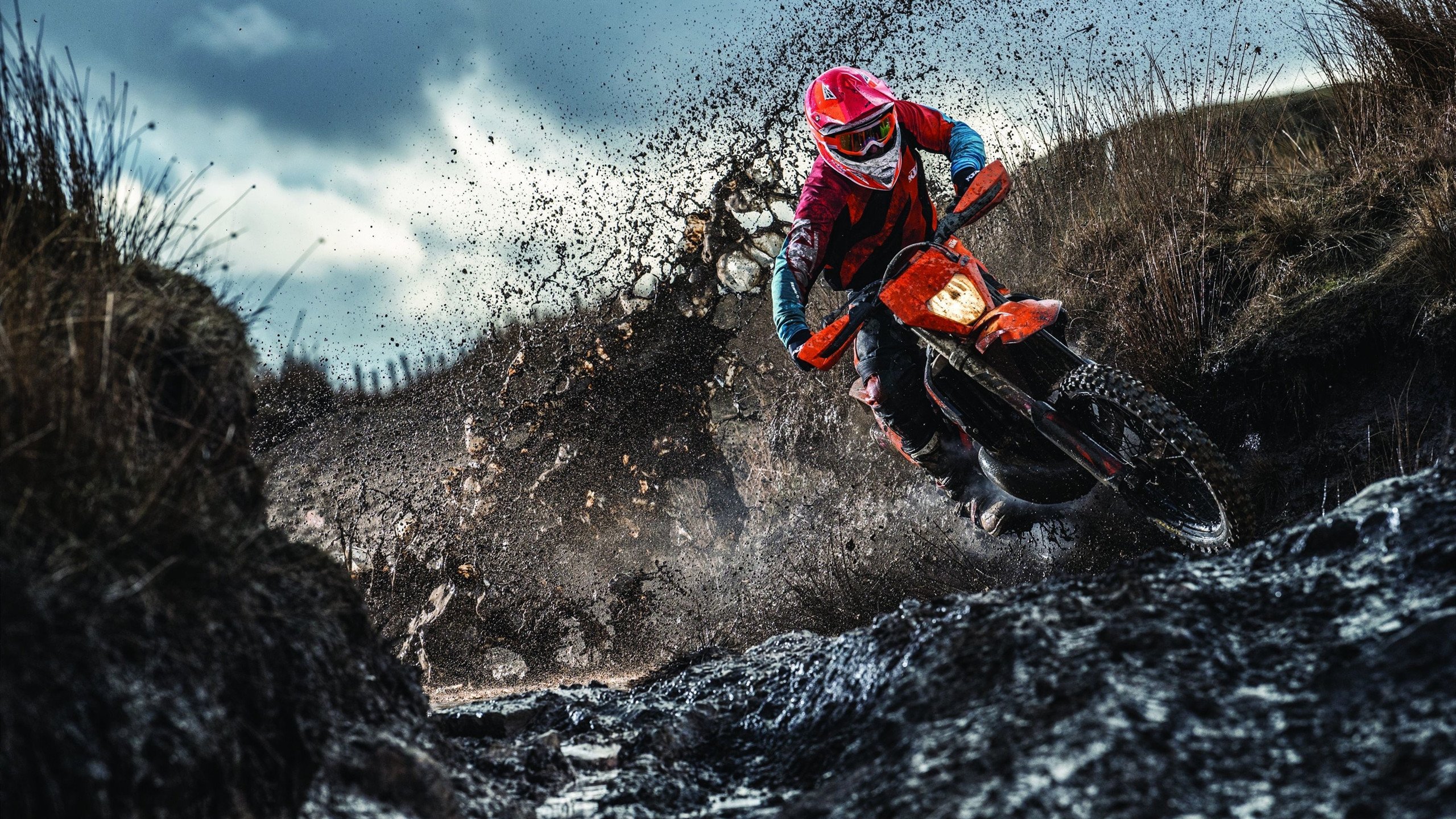 世界杯后：对人工草皮与混合草系统的优劣评估将影响未来选材